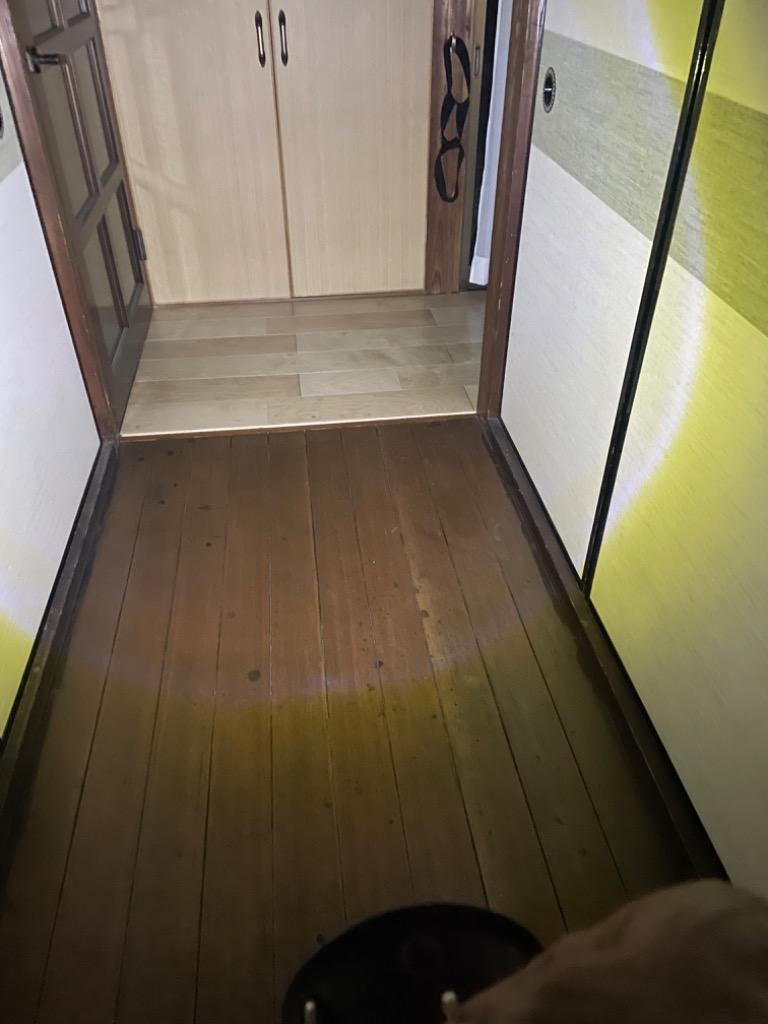 レビュー画像