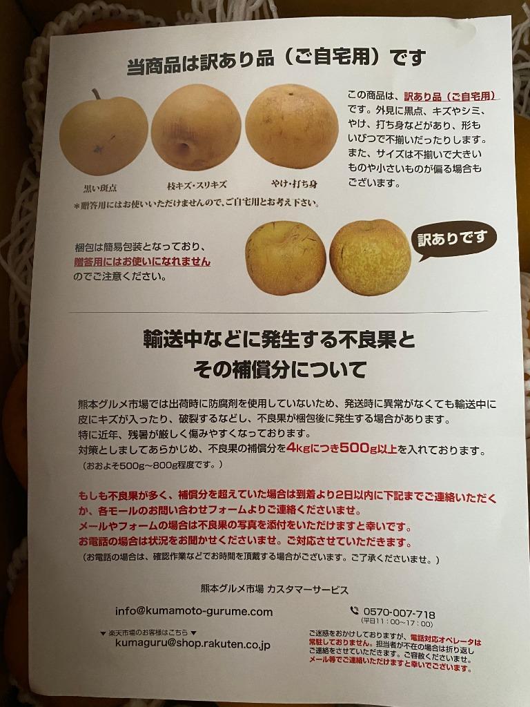 【熊本県産 豊水梨 梨 ナシ 家庭用 バラ詰め 訳アリ品 約20kg 熊本県産】幸水梨 梨 ナシ 家庭用 バラ詰め 訳アリ品 約20kg