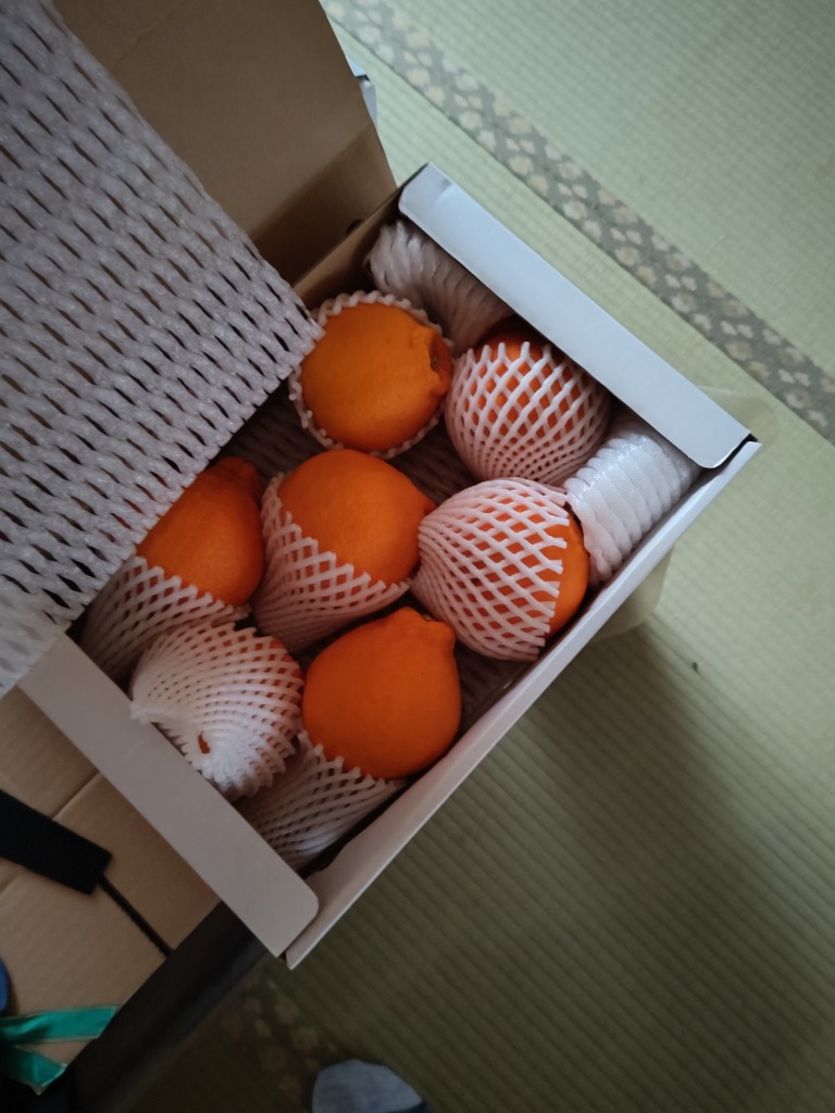 レビュー画像