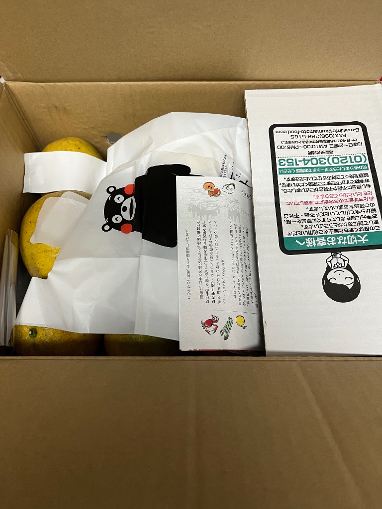 河内晩柑 訳あり みかん 和製グレープフルーツ 1.5kg 送料無料