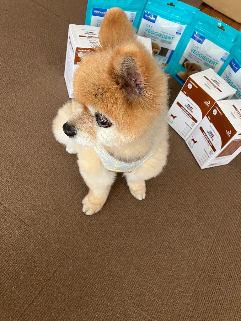 レビュー画像