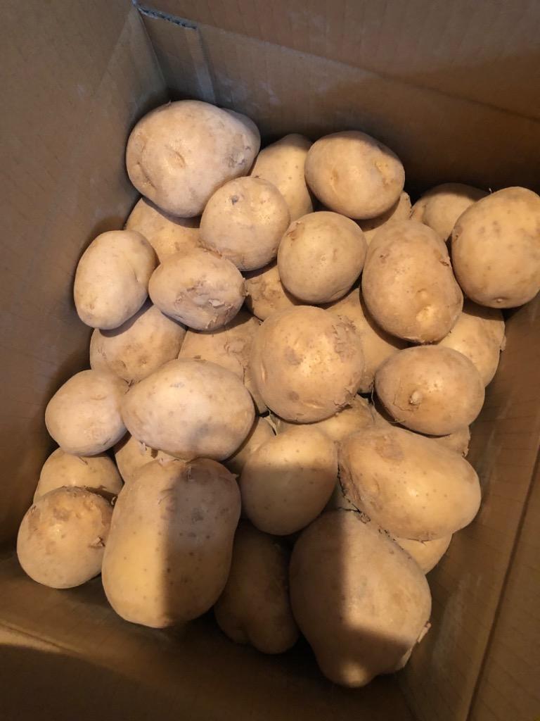 新じゃがいも” 訳あり 約5kg 大きさおまかせ 九州ほか国内産 新じゃがいも” 訳あり 約5kg 大きさおまかせ 九州ほか国内産