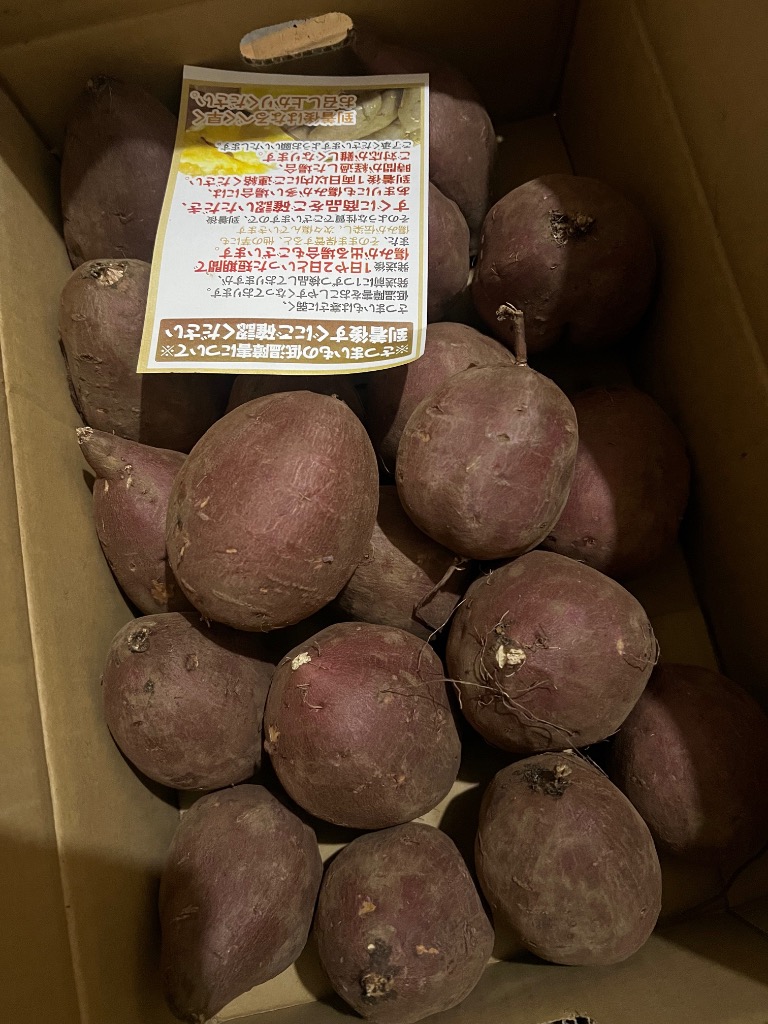 シルクスイート” 訳あり S・M・Lサイズ 約5kg 送料無料 : くらし