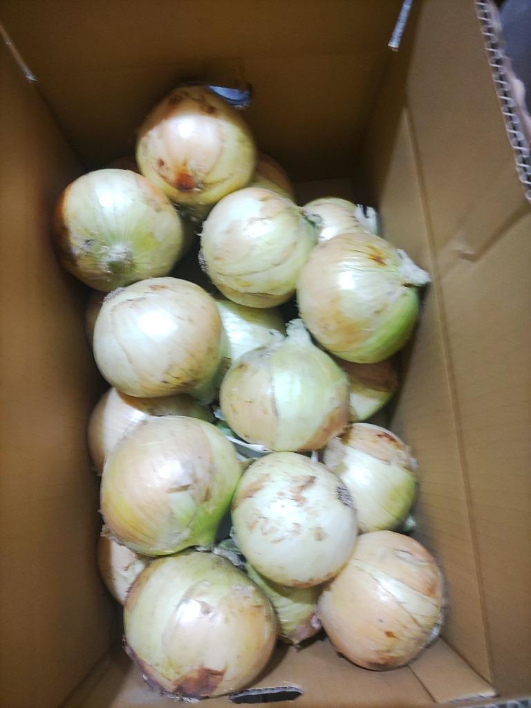 ⭕️秀品2Lサイズ20Kg⭕️淡路島玉ねぎ　たまねぎ　玉葱 たまねぎ” 秀品 L/2Lサイズ 約10kg 九州・四国・淡路・北海道