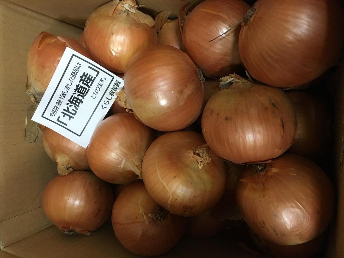 たまねぎ” 訳あり 約9〜10kg 大きさおまかせ 検品なし 九州