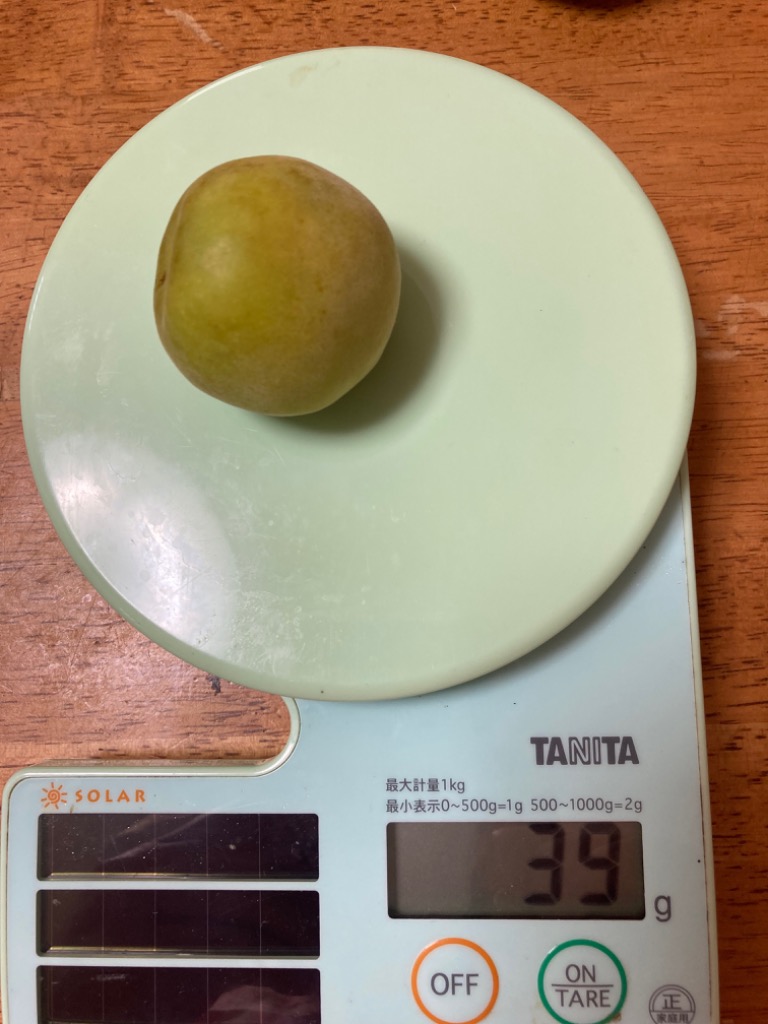紀州・和歌山産 ”南高梅 完熟” 秀品 4L 約10kg【予約 6月以降