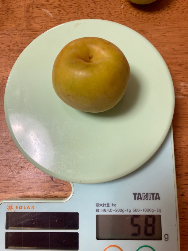 紀州・和歌山産 ”南高梅 完熟” 秀品 4L 約10kg【予約 6月以降