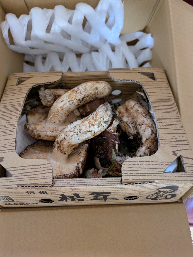 【国産】｟天然松茸｠6本セット❗️ 楽天市場】松茸 国産（贈答用・化粧箱入り化粧箱入り・贈答用