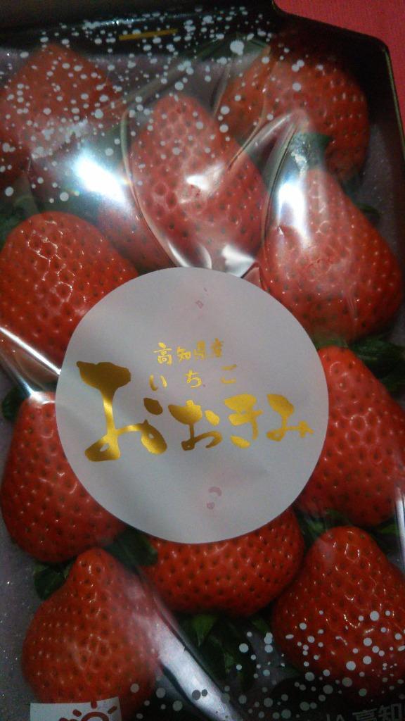 高知県 ”大妃美いちご(おおきみ)” 大粒2L/3L 8〜12粒前後 約 高知県 ”大妃美いちご(おおきみ)” 大粒2L/3L 8〜12粒前後 約