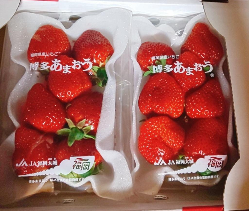 福岡産 博多 ”あまおういちご” 等級G（グランデ） 2箱 4パック
