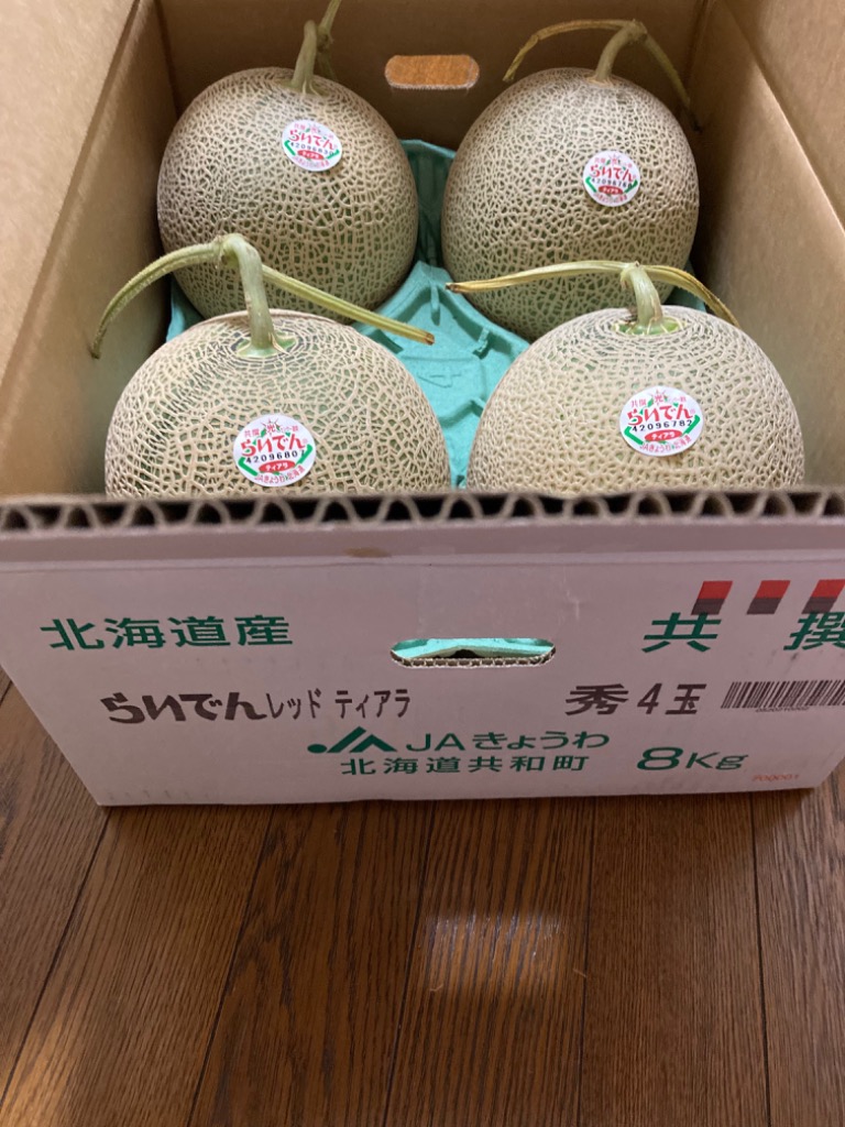 メロン 北海道 赤肉メロン ”らいでんレッドティアラメロン” 秀品