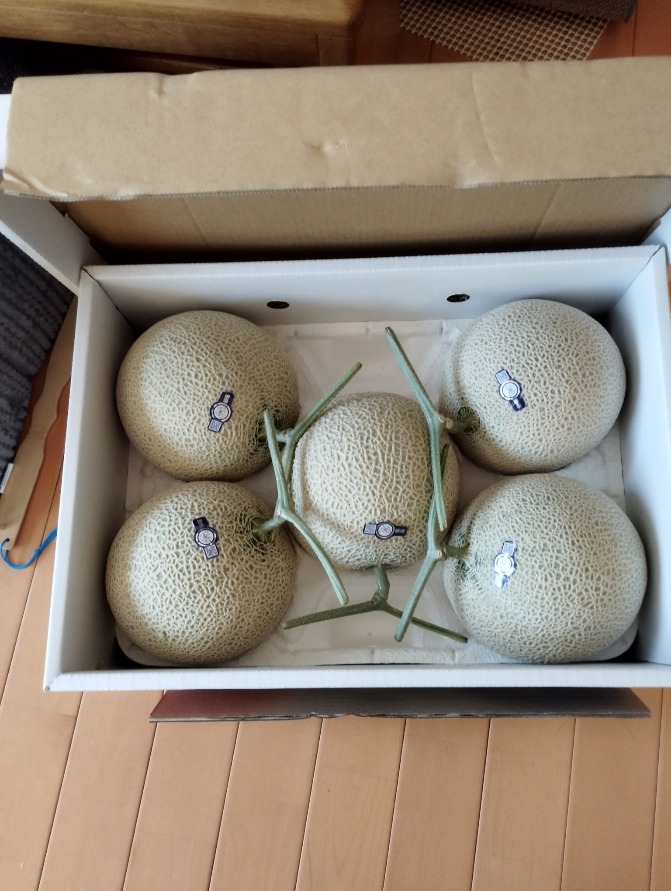 メロン 島根県 ”温室マスクメロン” 秀品 大玉4〜5玉 約7〜8kg