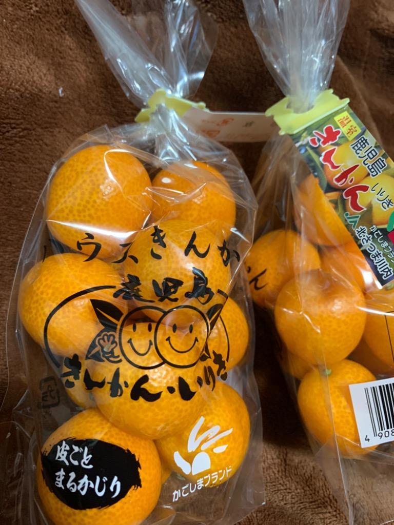 鹿児島県入来産 ”完熟きんかん いりき” 秀品 L〜3Lサイズ 約250g
