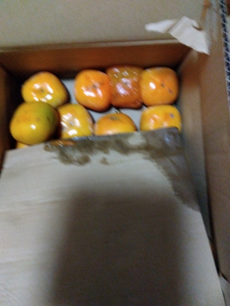 全体のレビュー画像 | 0-0