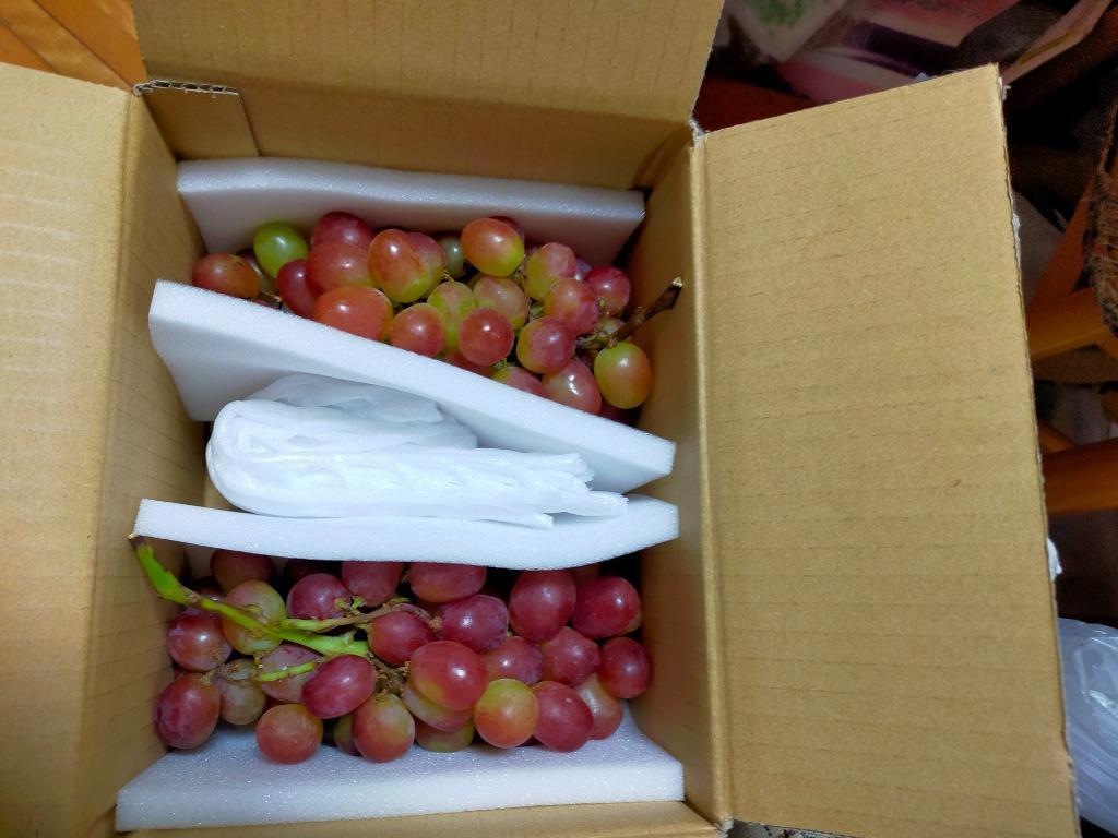 レビュー画像