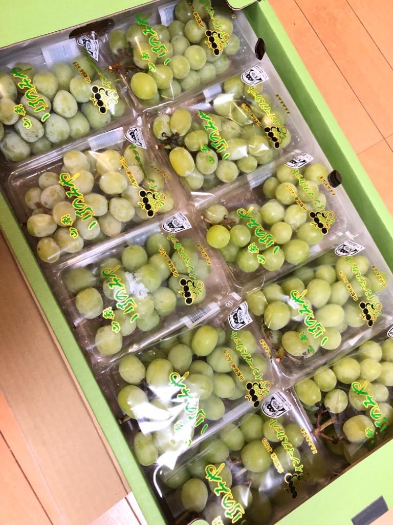 シャインマスカット大粒多め入り粒3キロパック入り