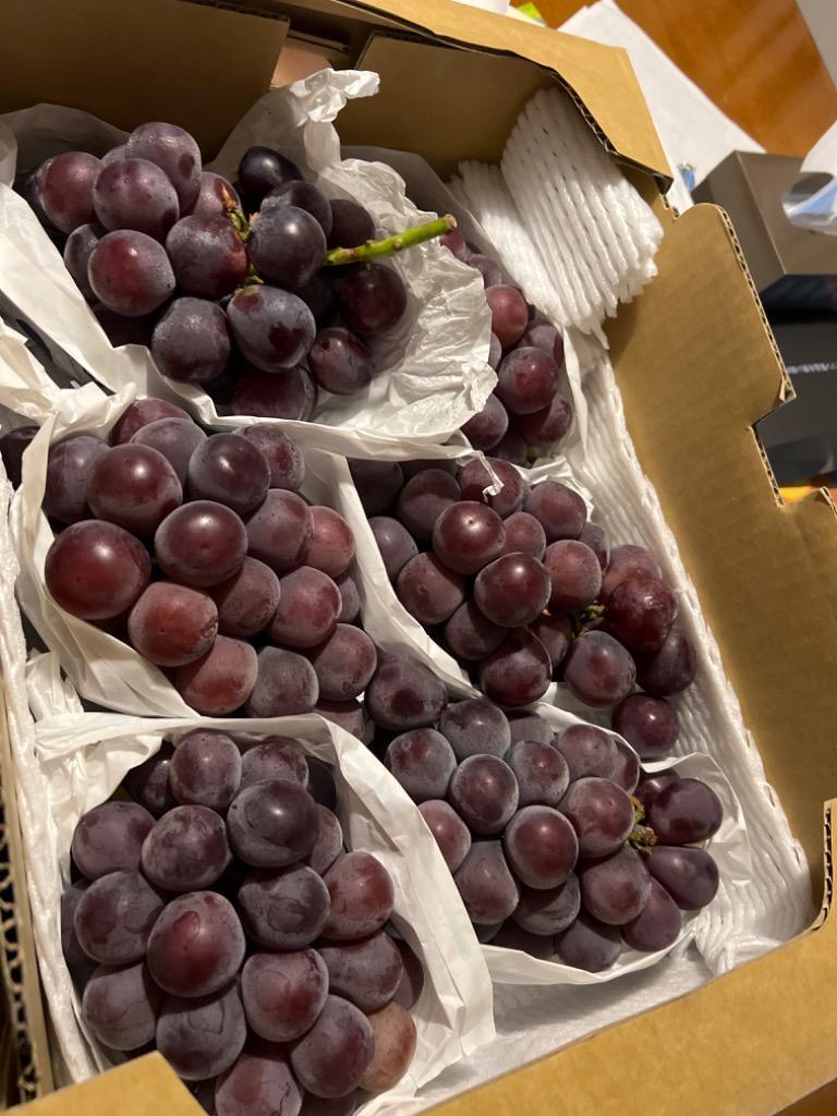 ぶどう 岡山産 ”種なしニューピオーネ” 6〜8房 約5kg ちょっと訳