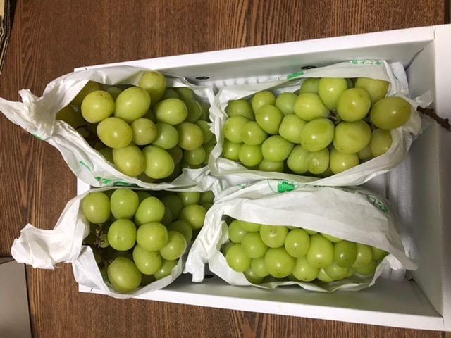 全体のレビュー画像 | 5-0