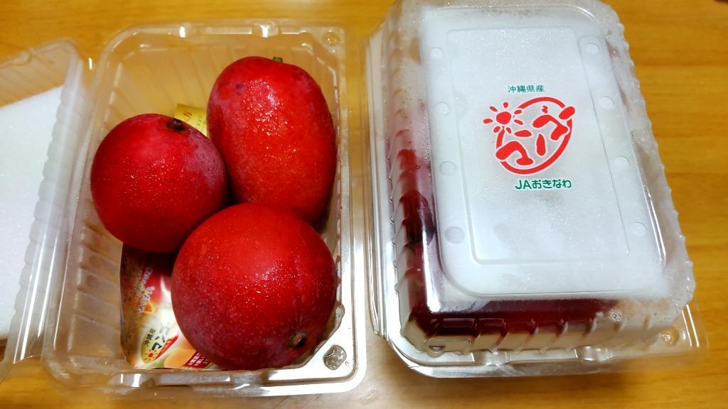 タイ産 マンゴー 4.5kg