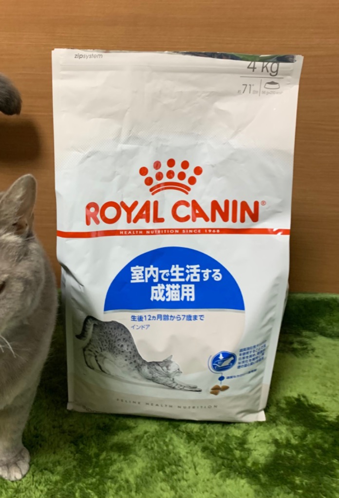 ロイヤルカナン（ROYAL CANIN） インドア 4kg 猫 室内で生活する成猫用