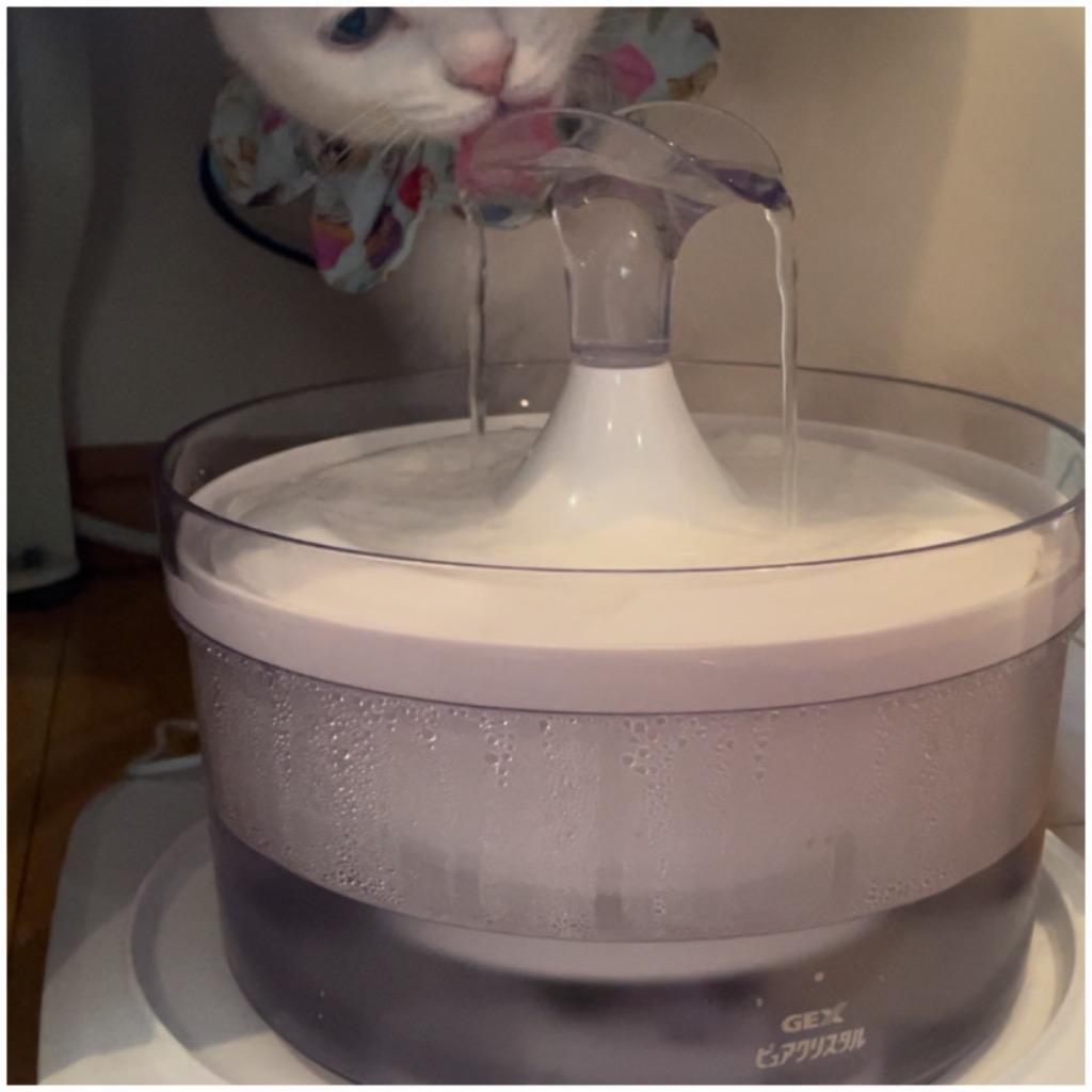 ピュアクリスタル グラッシー 1.5L 猫用  ペット 用品 循環型給水器 フィルター式 給水機 GEX Pure Crystal 22ss  :33123657ku:ペッツビレッジクロスヤフー店 - 通販 - Yahoo!ショッピング