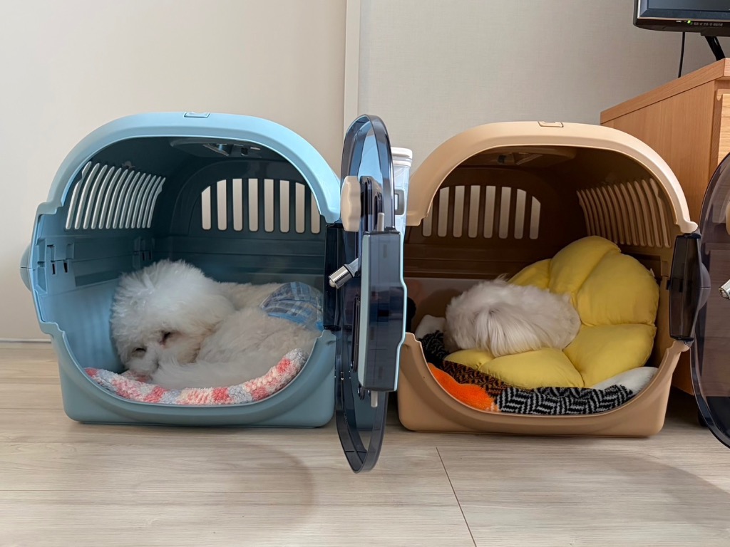 1件目のレビュー画像 | 1