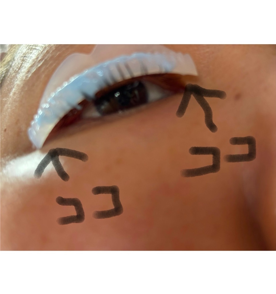 全体のレビュー画像 | 0-0