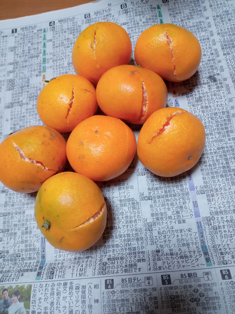 みかん 小玉（3S〜Sサイズ）5kg（箱込約5kg）和歌山県産 訳あり
