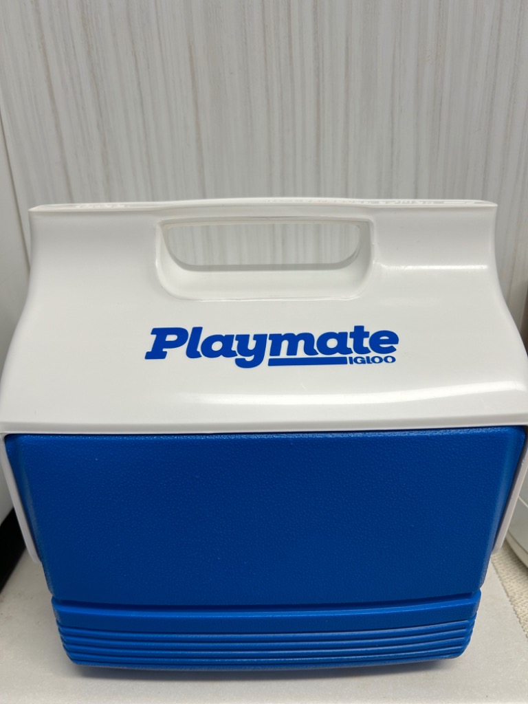igloo IGLOO イグルー クーラーボックス 小型 3L イグルー
