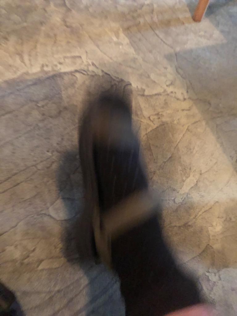 全体のレビュー画像 | 0-0