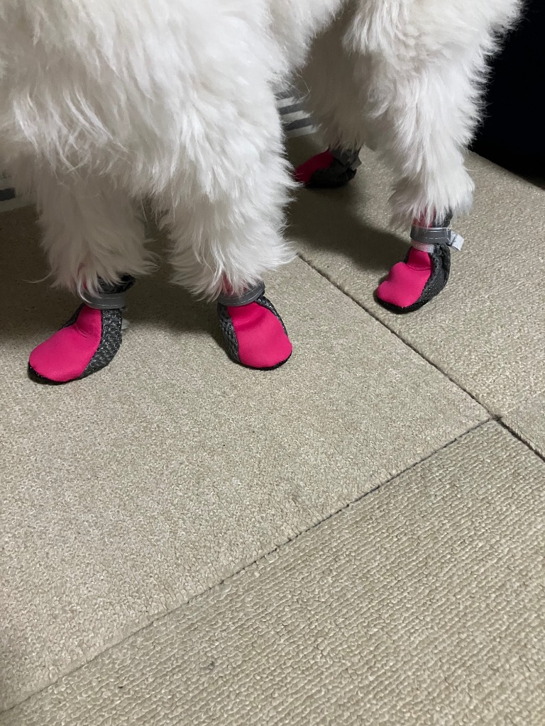 レビュー画像