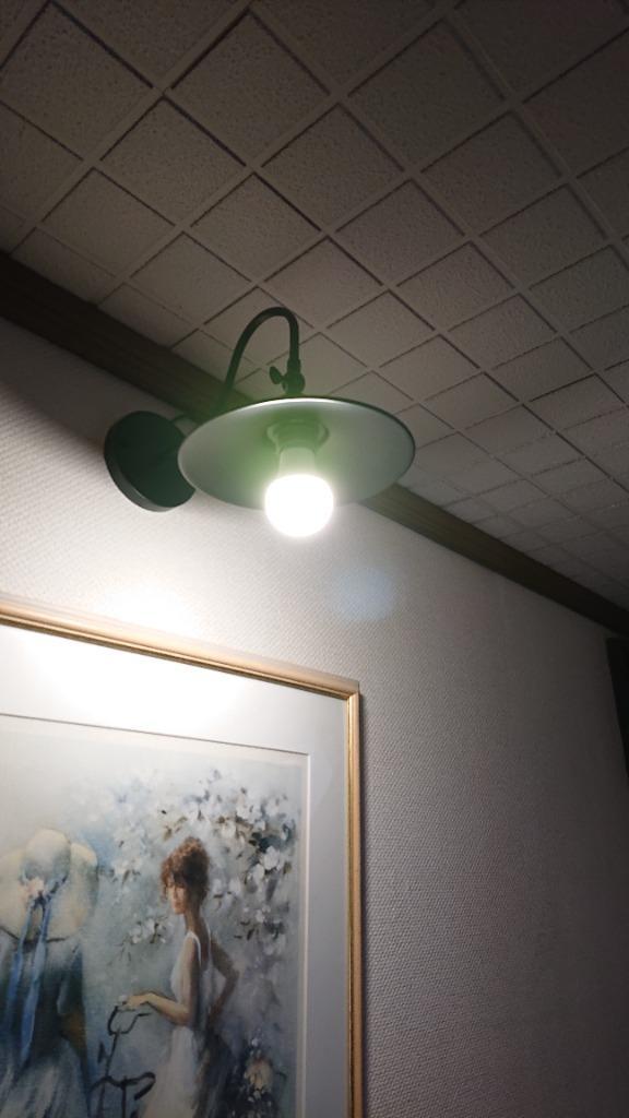 共同照明 LED電球 調光調色 リモコン対応 E26口金 40W相当 無