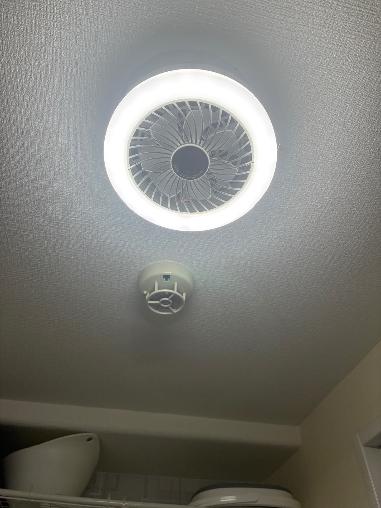 共同照明 シーリングファンライト LED 小型 扇風機 E26 60W形 調光 調
