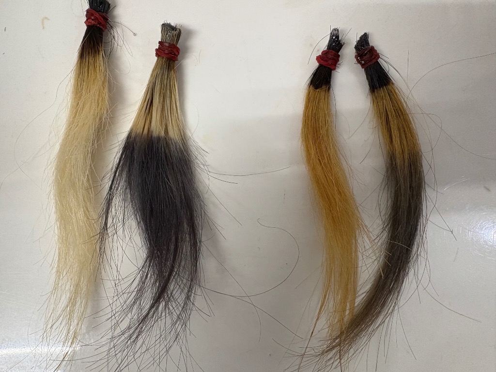 トリートメント kura 公式 15%OFF 【 KYOGOKU カラーセラム 】 カラートリートメント