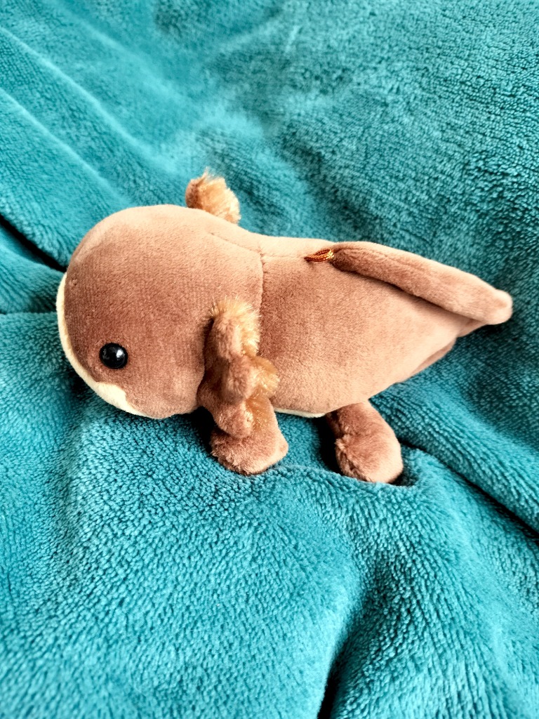 オオサンショウウオぬいぐるみ〈LL〉トートバッグ付き : 京都