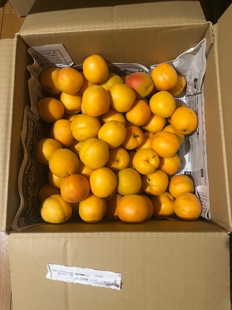 全体のレビュー画像 | 1-0