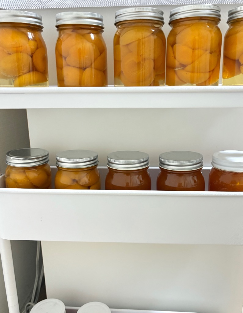 全体のレビュー画像 | 5-1