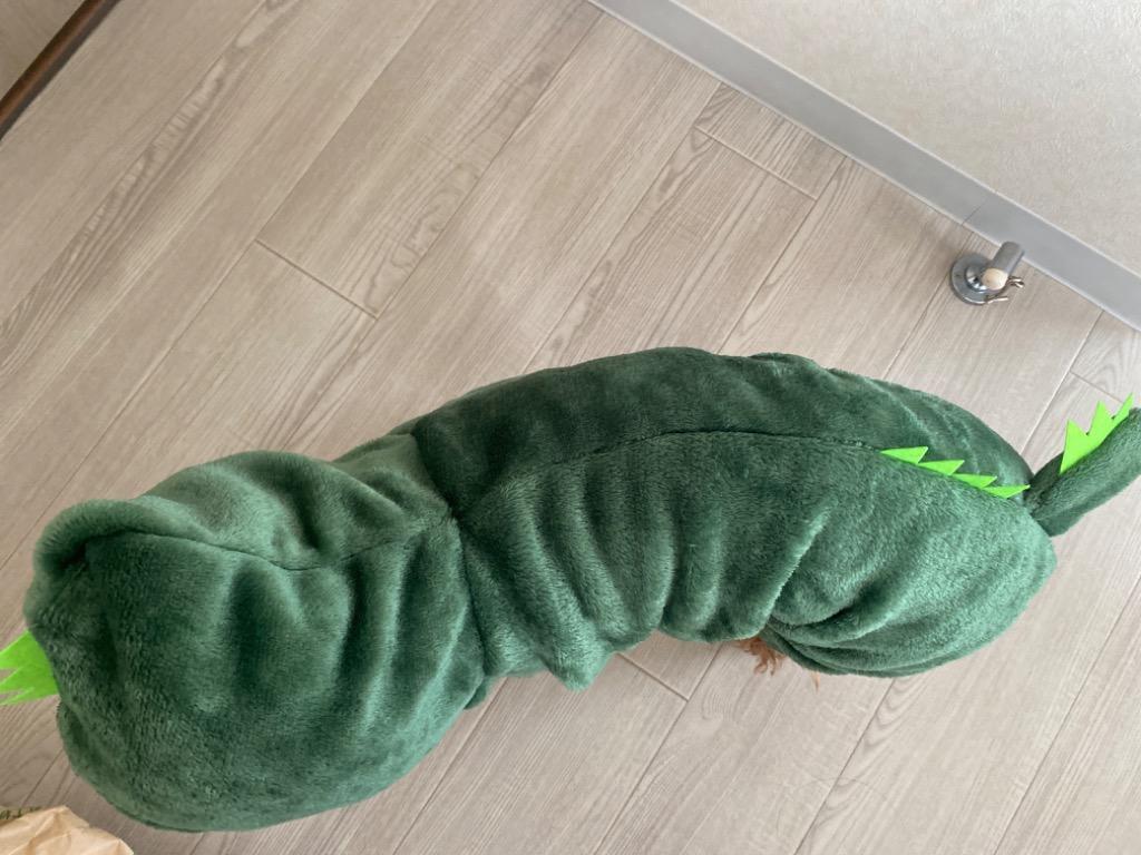 レビュー画像