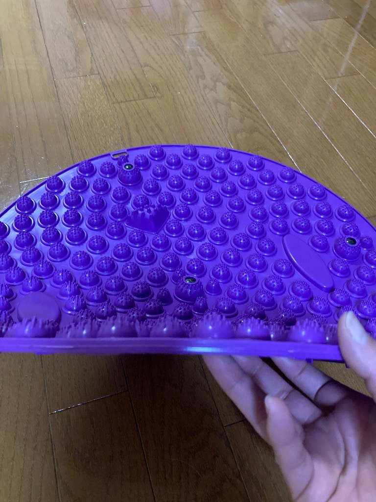 レビュー画像