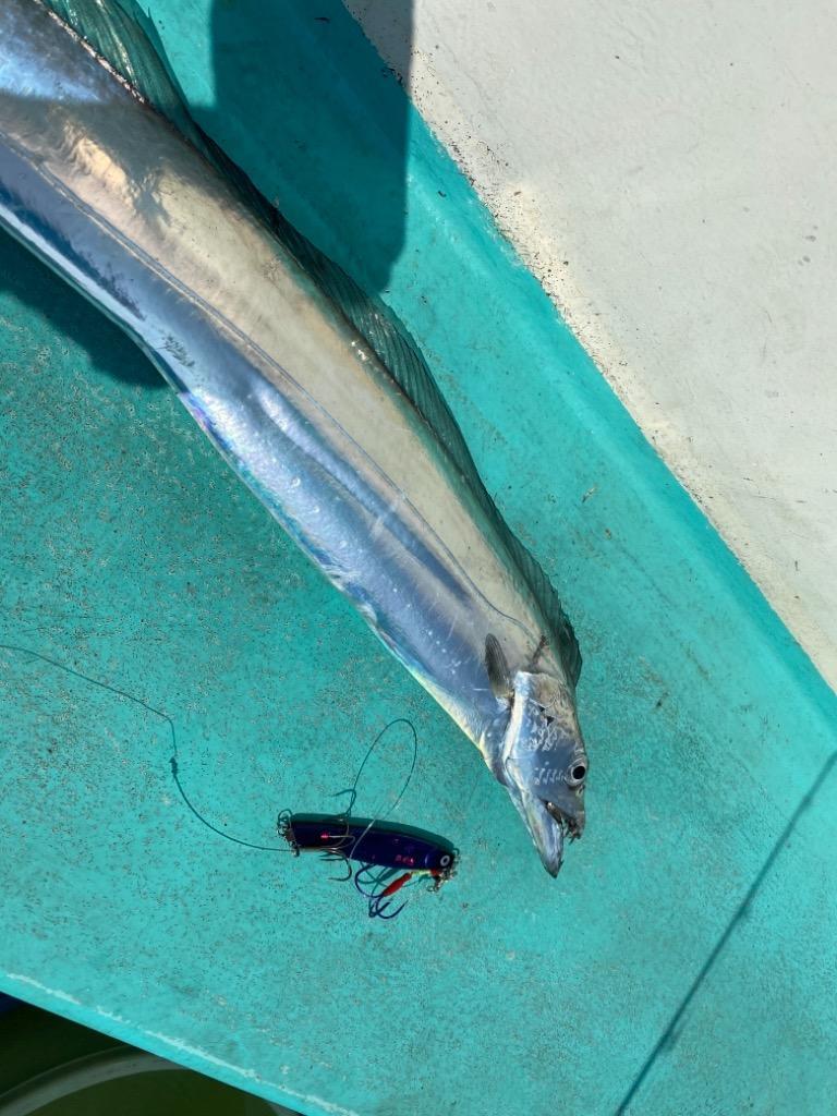 DUEL ブランカ タチ魚SP スペシャル 125g デュエル ヨーヅリ
