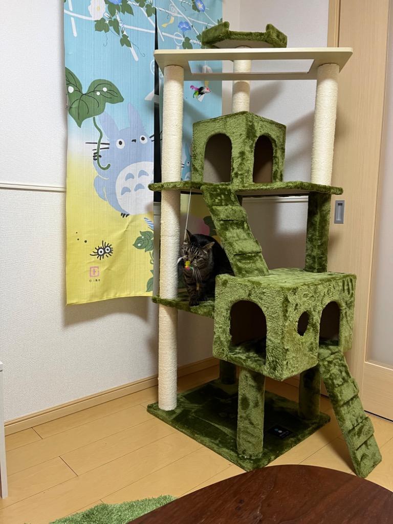全体のレビュー画像 | 1-0