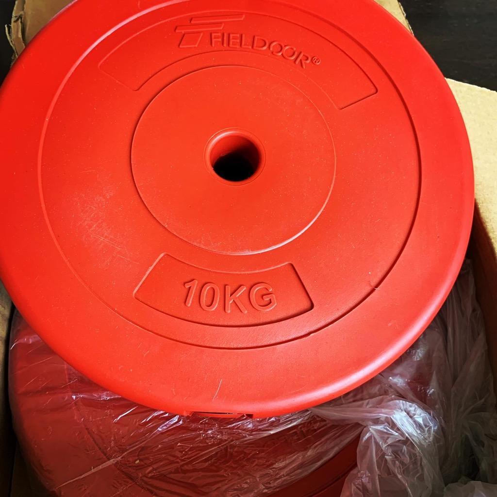 1年保証 バーベル 用 プレート 10kg 2個セット ポリエチレン