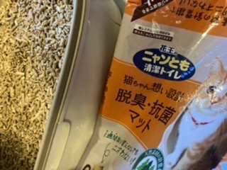 レビュー画像