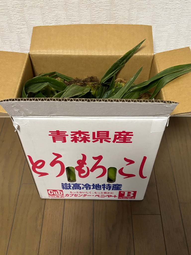 ご注文は8月12日まで 嶽きみ めぐみ 2Lサイズ 10本 ギフト 青森