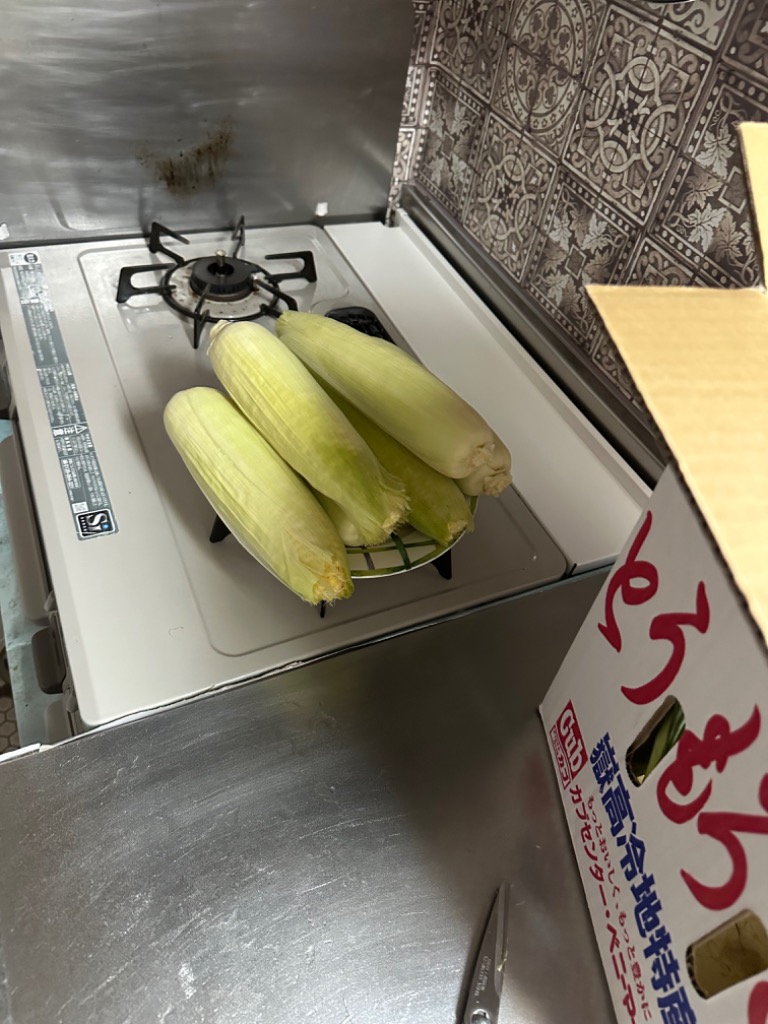 ご注文は8月12日まで 嶽きみ めぐみ 2Lサイズ 10本 ギフト 青森