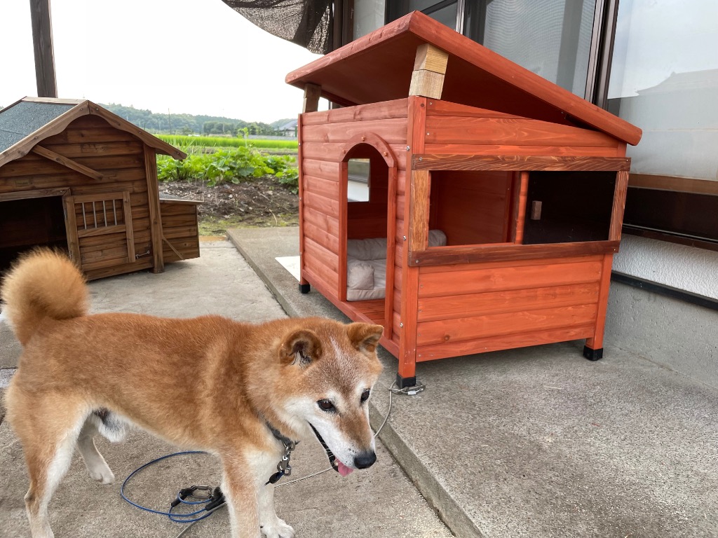 犬小屋 片屋根木製犬舎 Lサイズ 屋外 中型・大型犬 DHW1018-L アーク