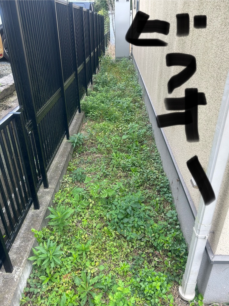 2件目のレビュー画像 | 2