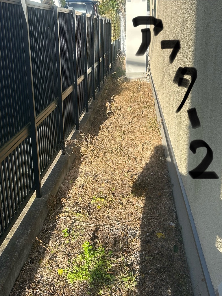 2件目のレビュー画像 | 4