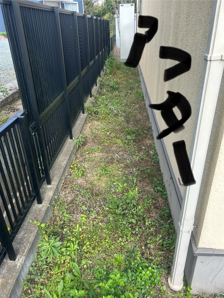 2件目のレビュー画像 | 3