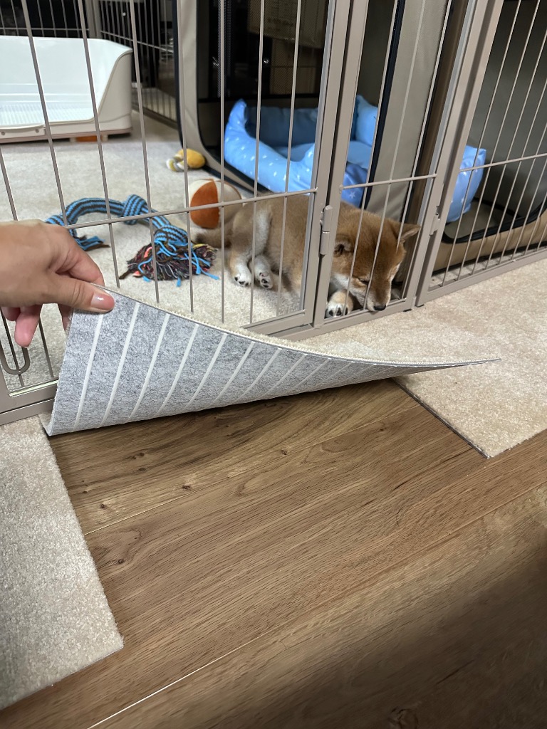1件目のレビュー画像 | 1